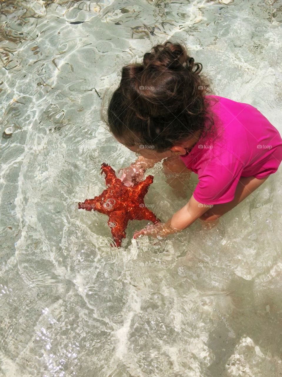 Summer vacationing 3 year old girl holding a starfish in the crystal clear water of Grand Cayman 