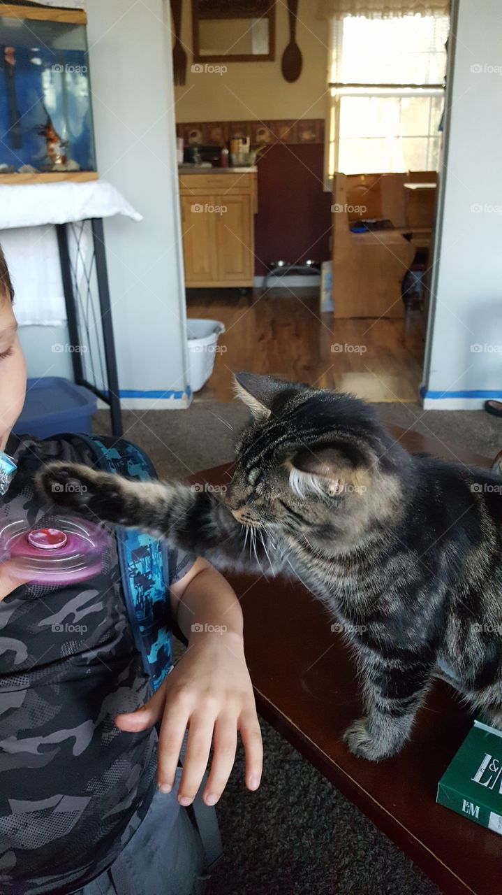 Spinner Fun with Kitty