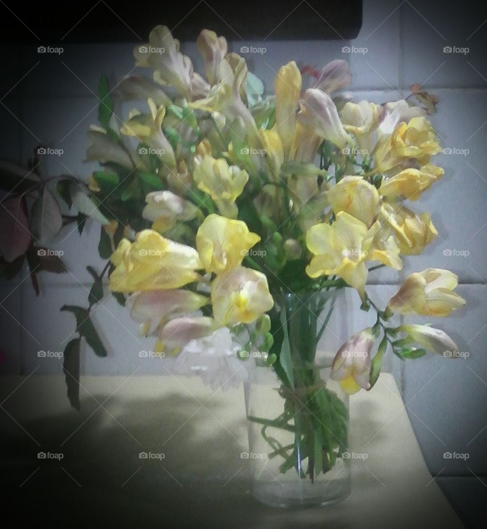 Elegant bouquet of freesias from my garden