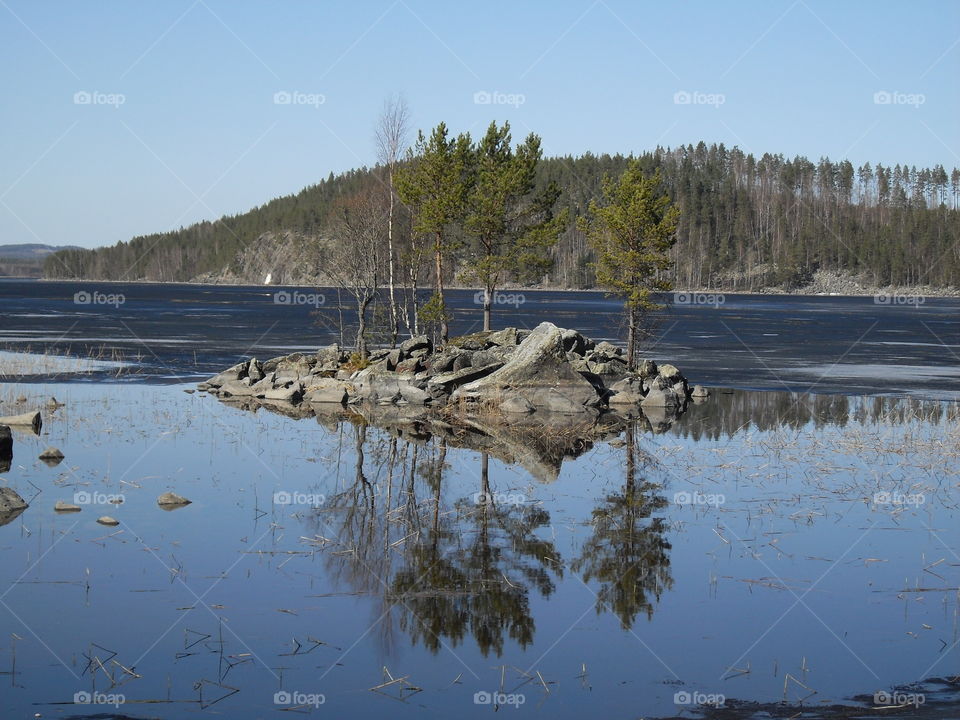 Lake,  island, trees and reflections