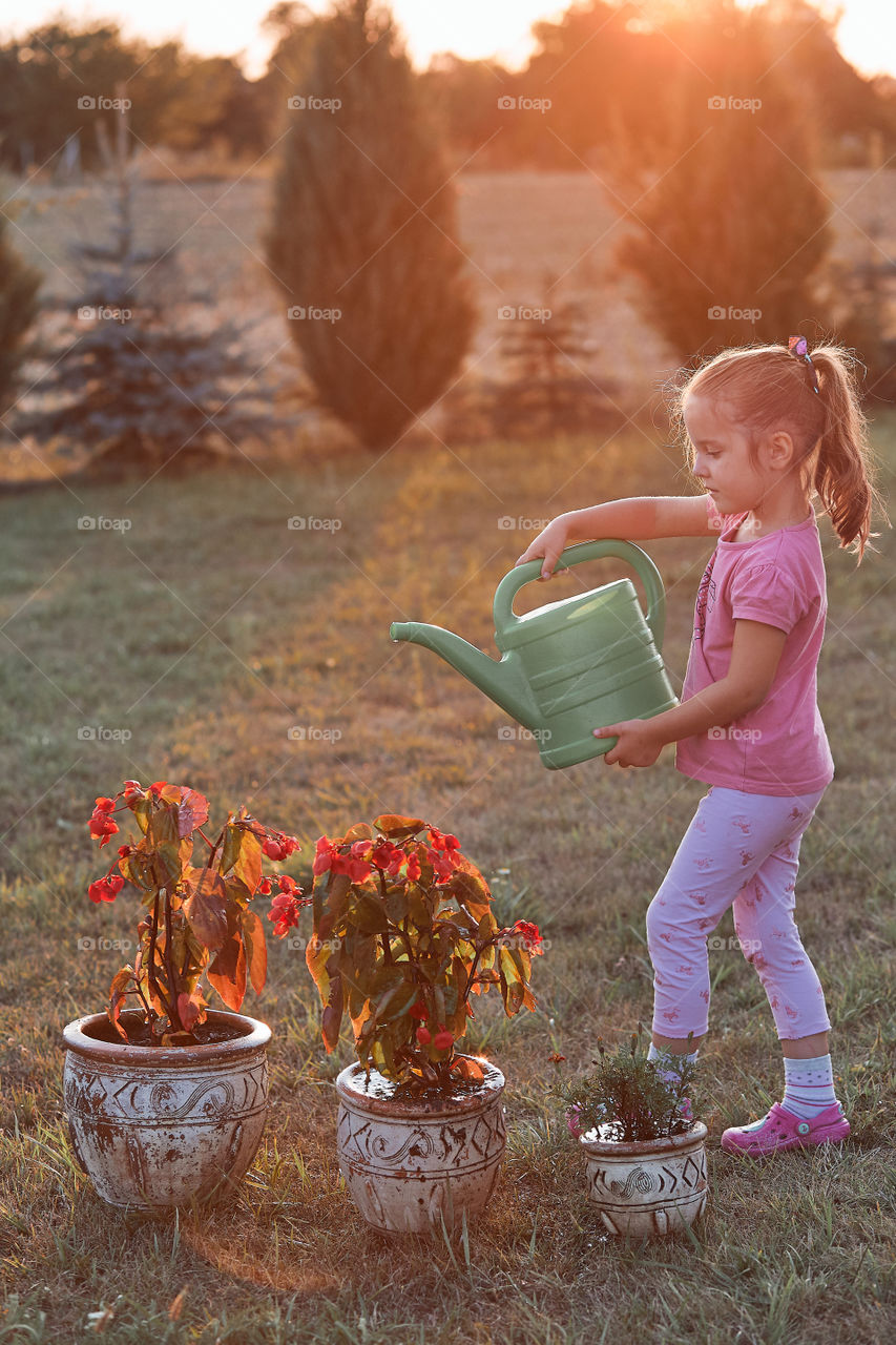 Watering the flowers growing in flower pot, pouring water from green watering can, working in backyard at sunset. Candid people, real moments, authentic situations