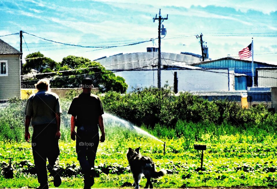 Men And A Dog Walking Down A City Street