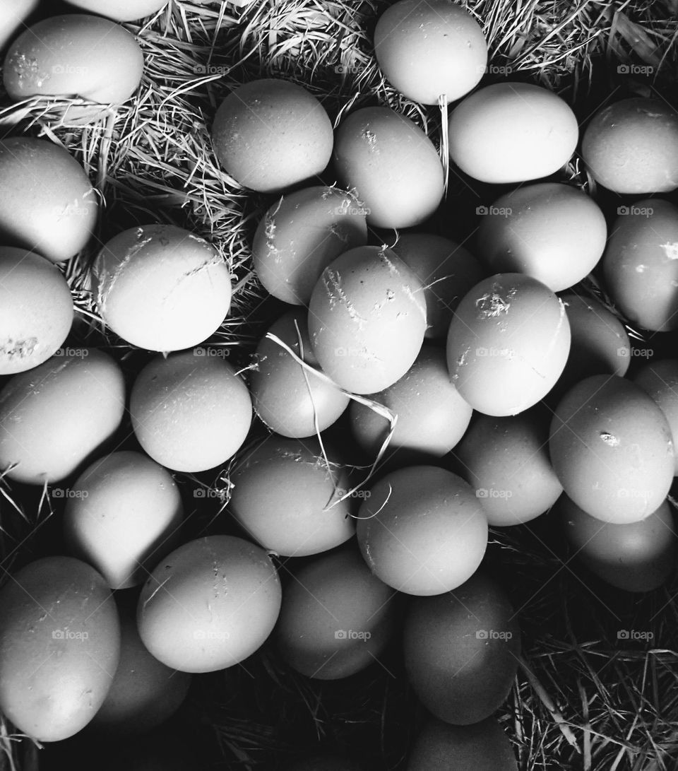 Chicken eggs