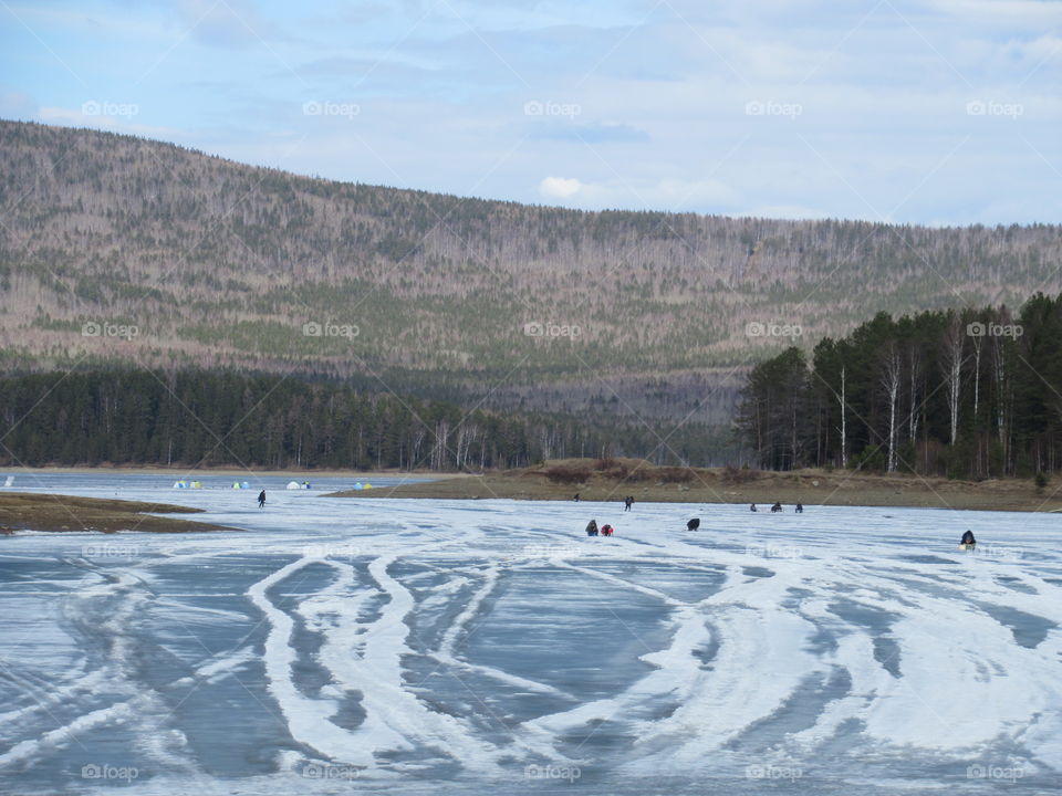 ice is already melting on the pond, but the fishermen do not go away