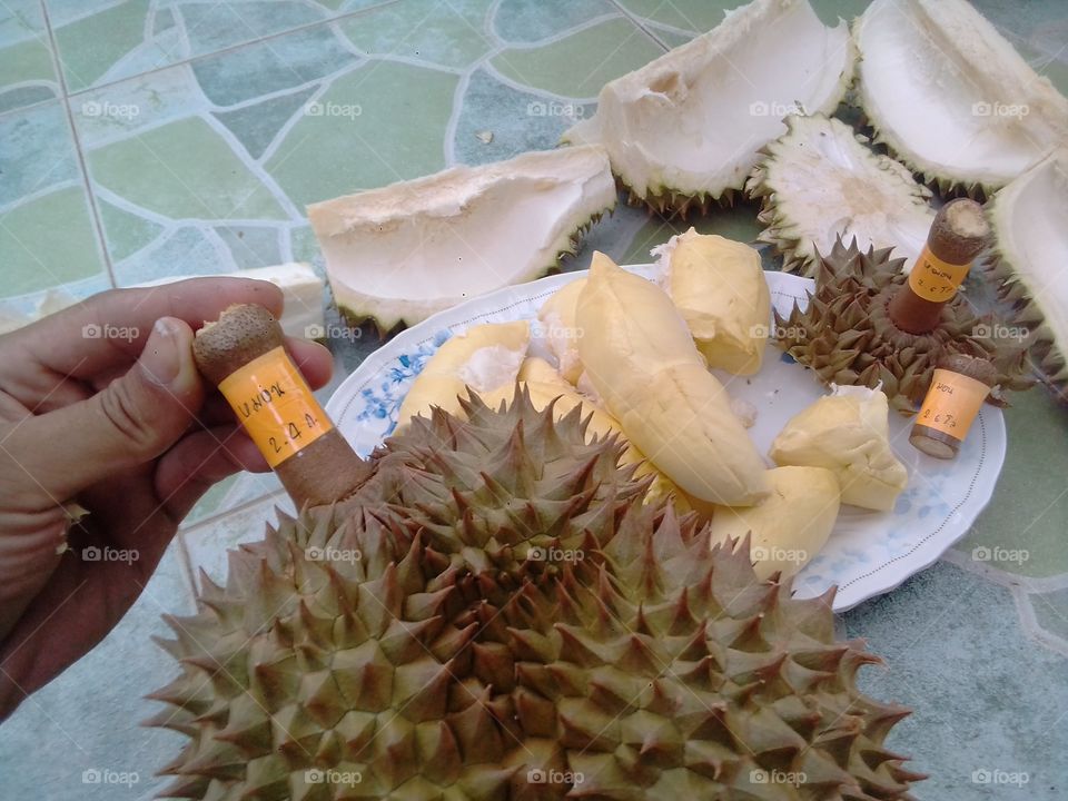 Durian fruit, delicious