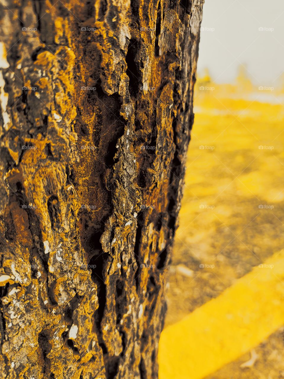 editors' choice: photo of the week