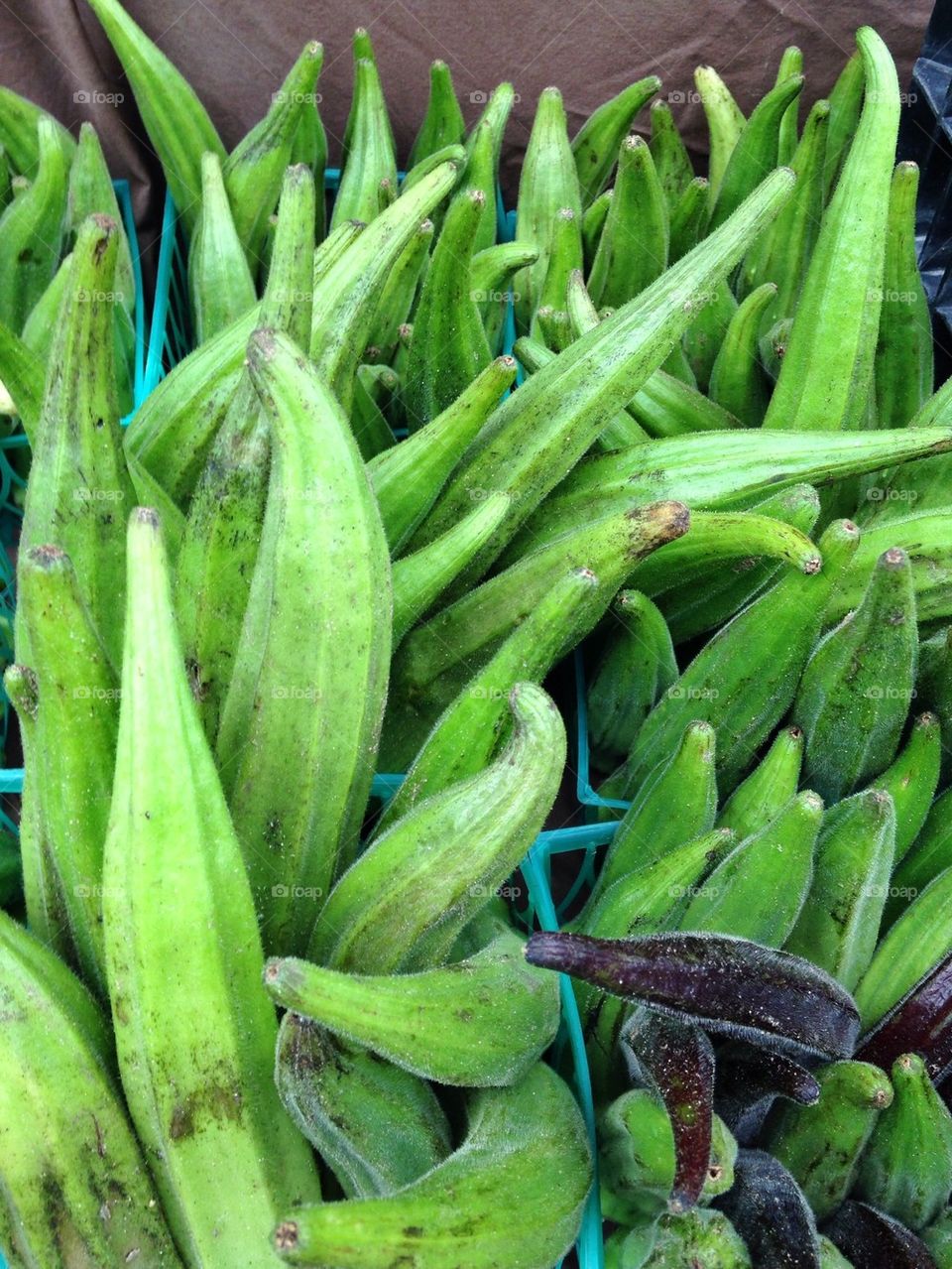 Okra