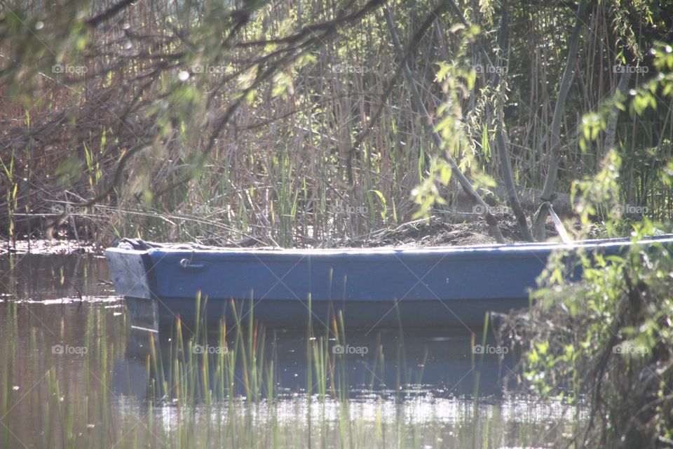 Blu boat at short