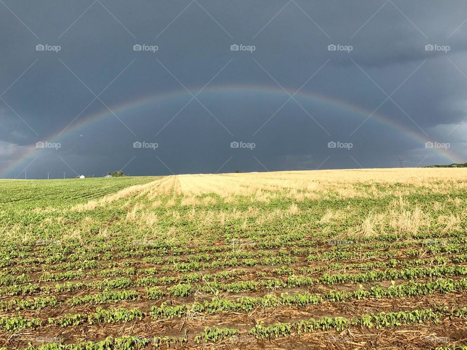 Rainbow ( farm land )