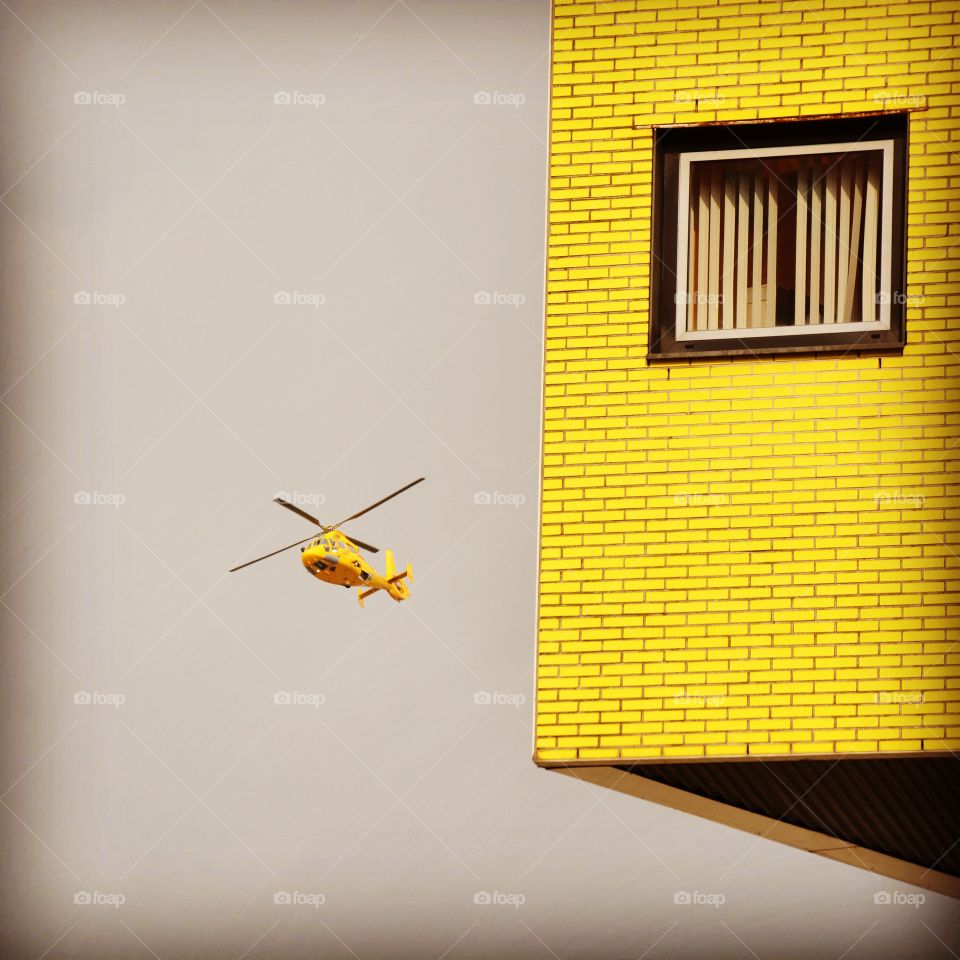 Lifeliner