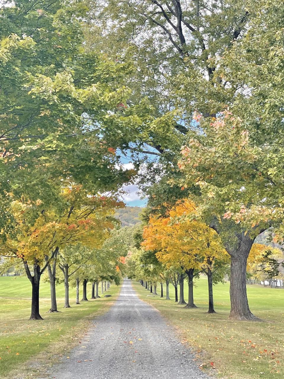 Virginia driveway in fall. 