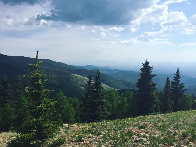 Top of The Mountain 