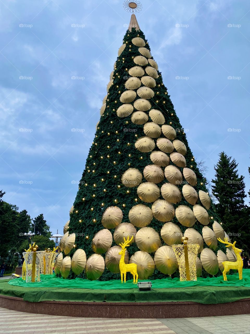 Christmas tree Batumi
