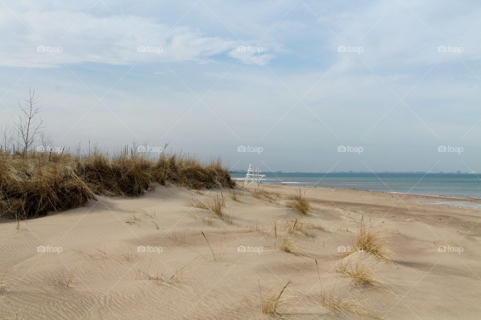 Grassy sand dunes on beach