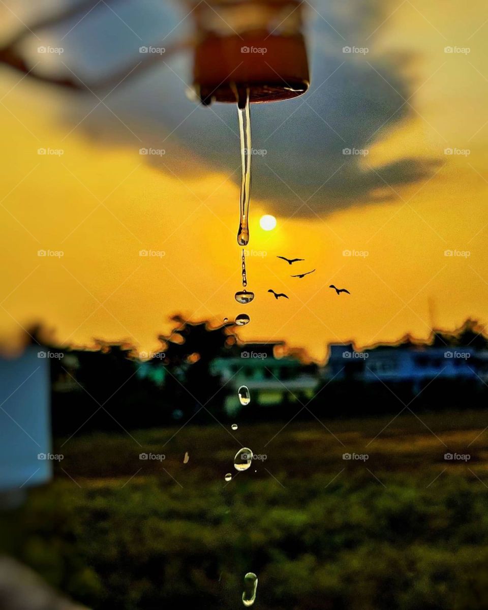 sunrise and water drop