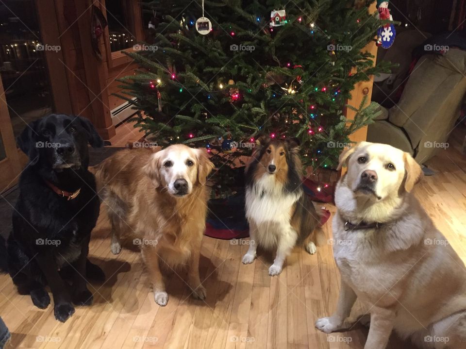 Friends of different colors