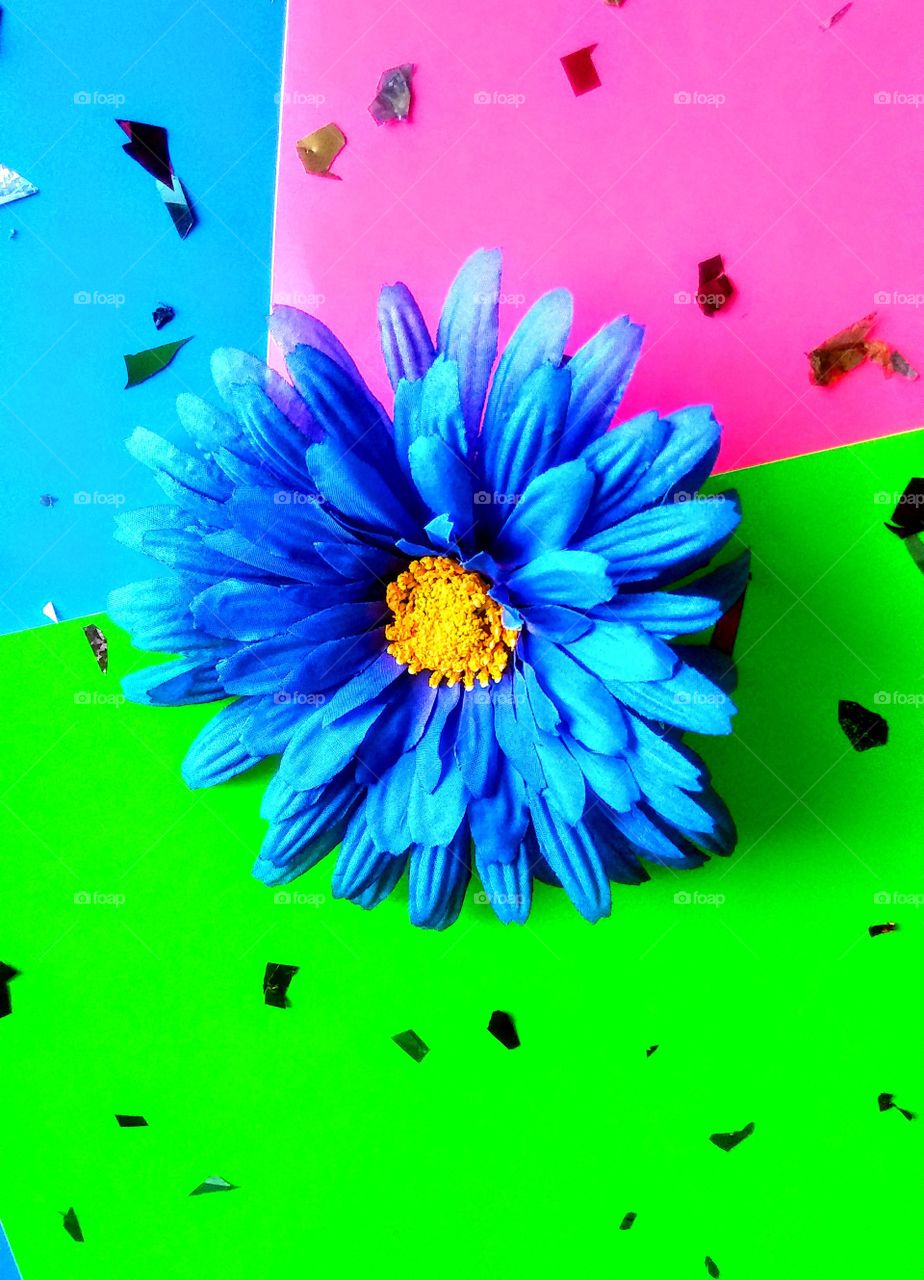 A BLUE FLOWER