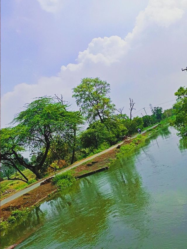 river and road beautiful combination of nature...