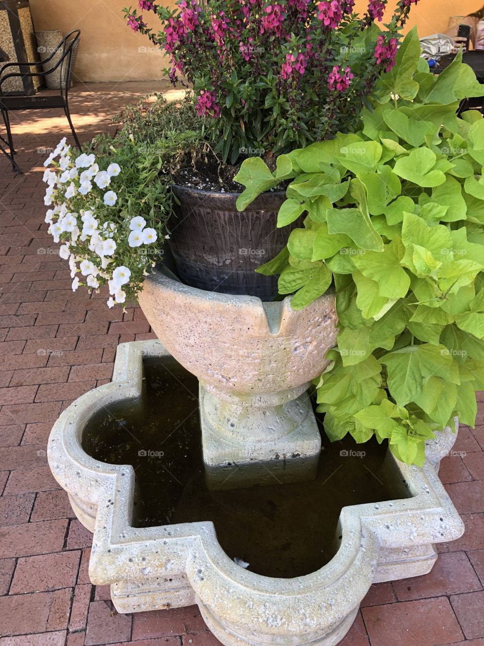 Summer outdoors planting with greenery