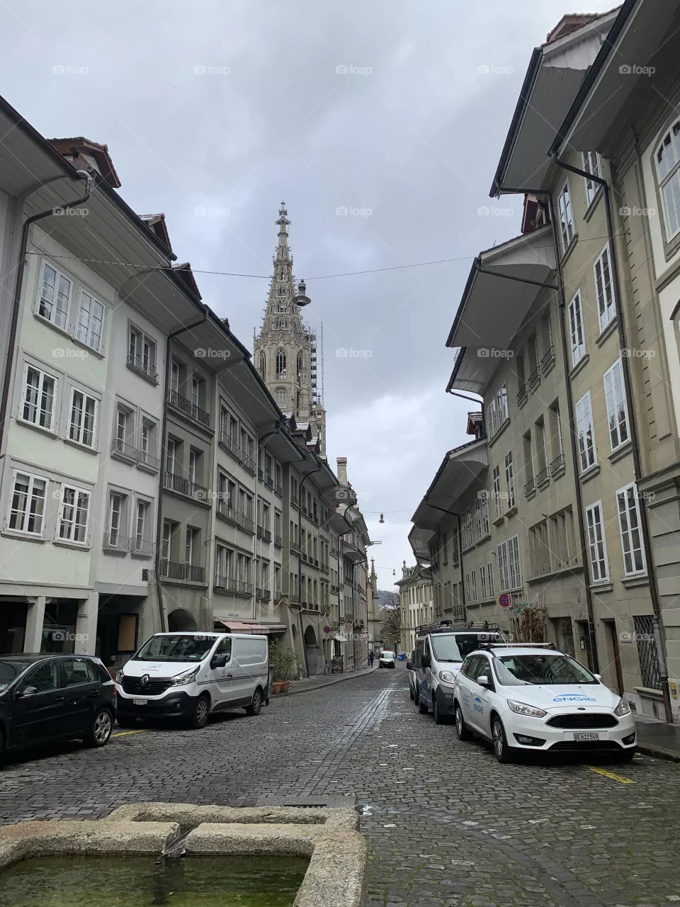 Swiss 