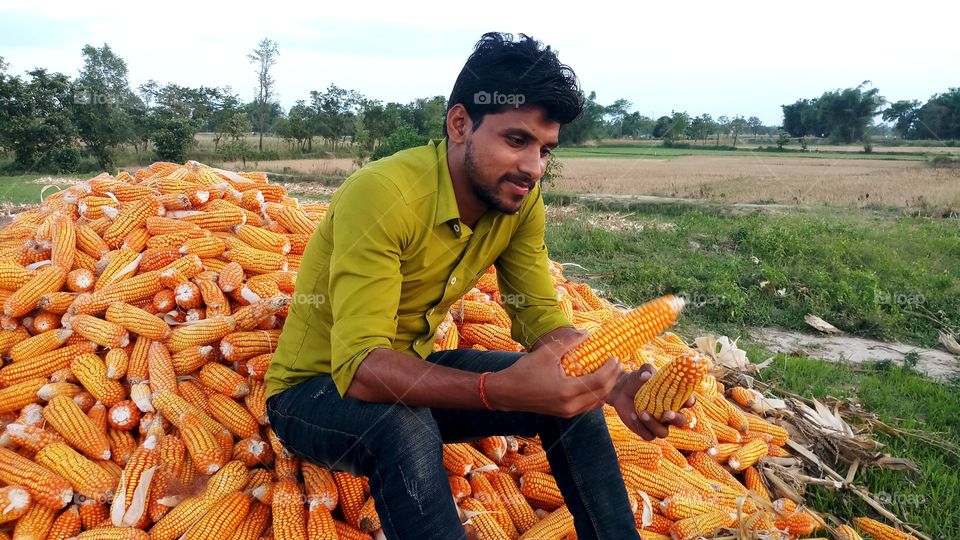 happy farmer with maize