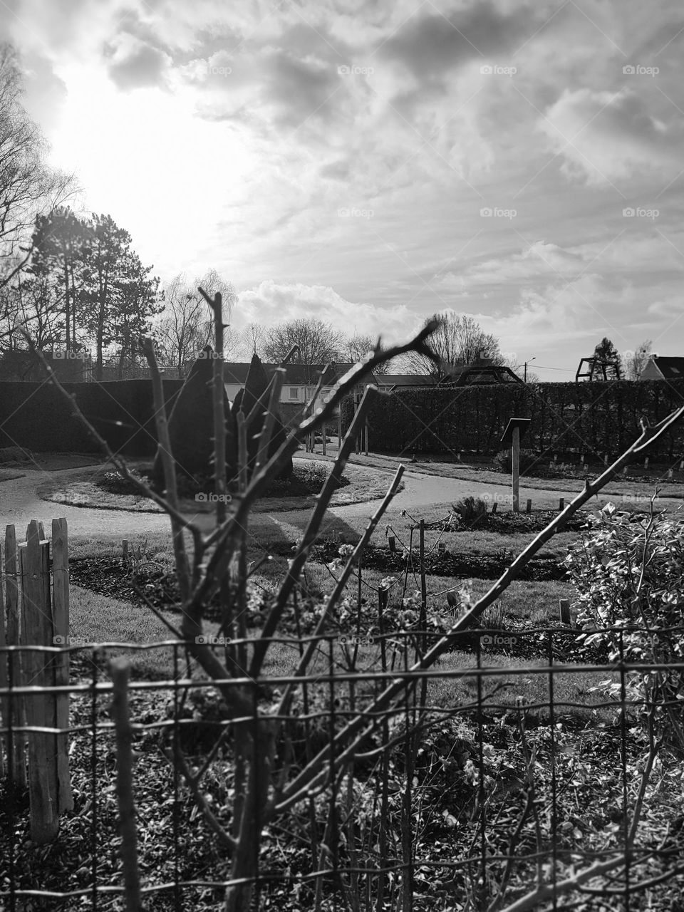 Visit of the castle of Havré, Hainaut