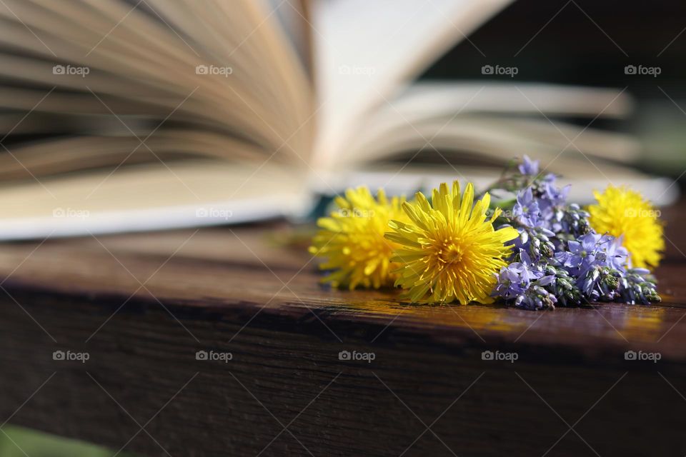 весной, на лавочке