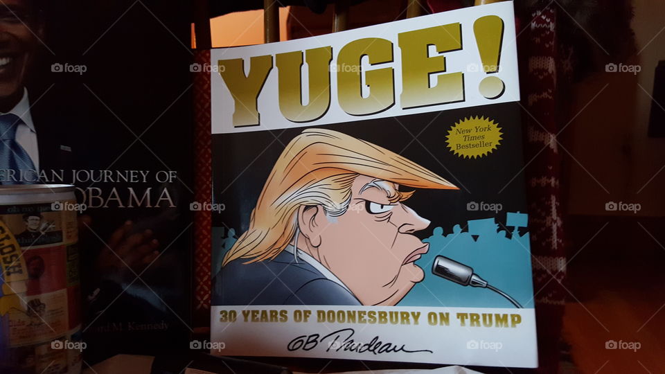 Trump cartoons