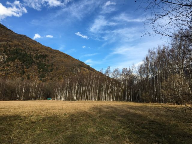 Fallscape