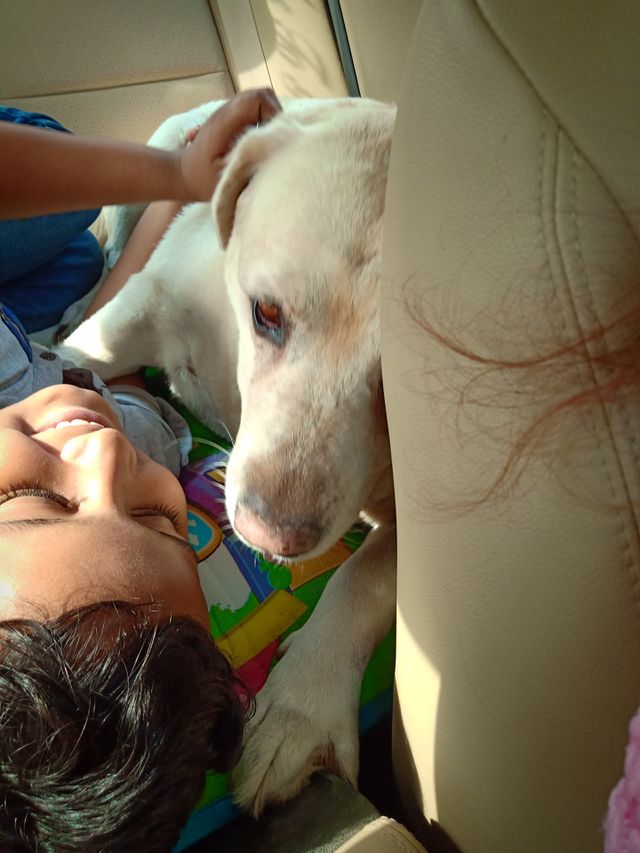 A true bonding