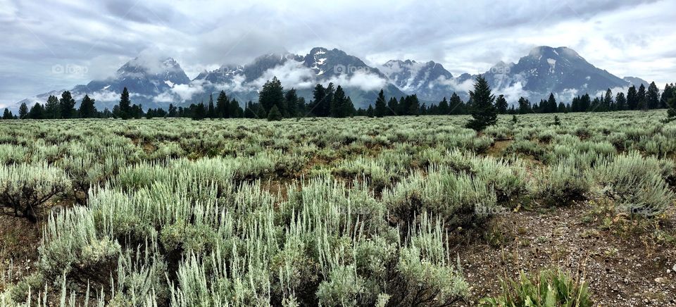 Cloudy morning in Grand Teton National Park  