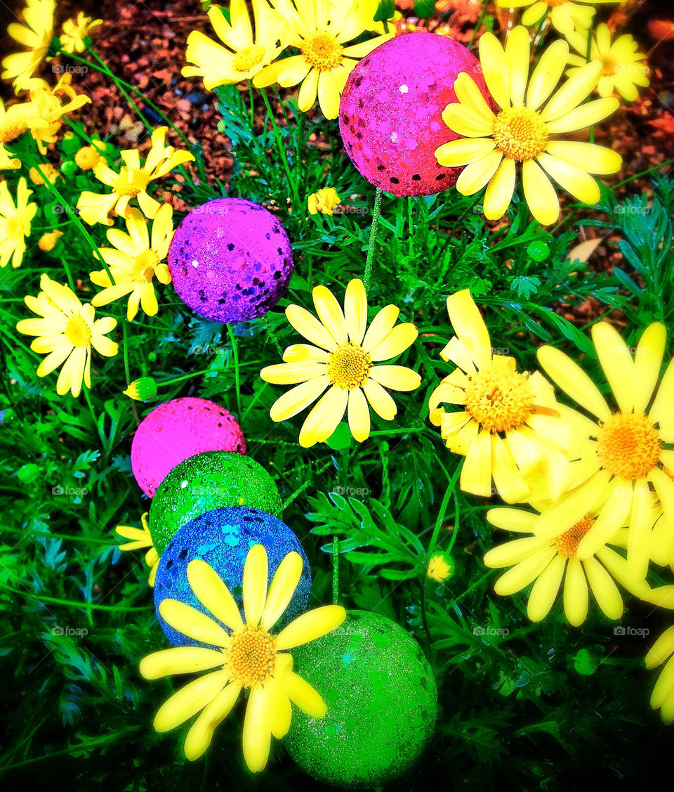 Easter Decorations
