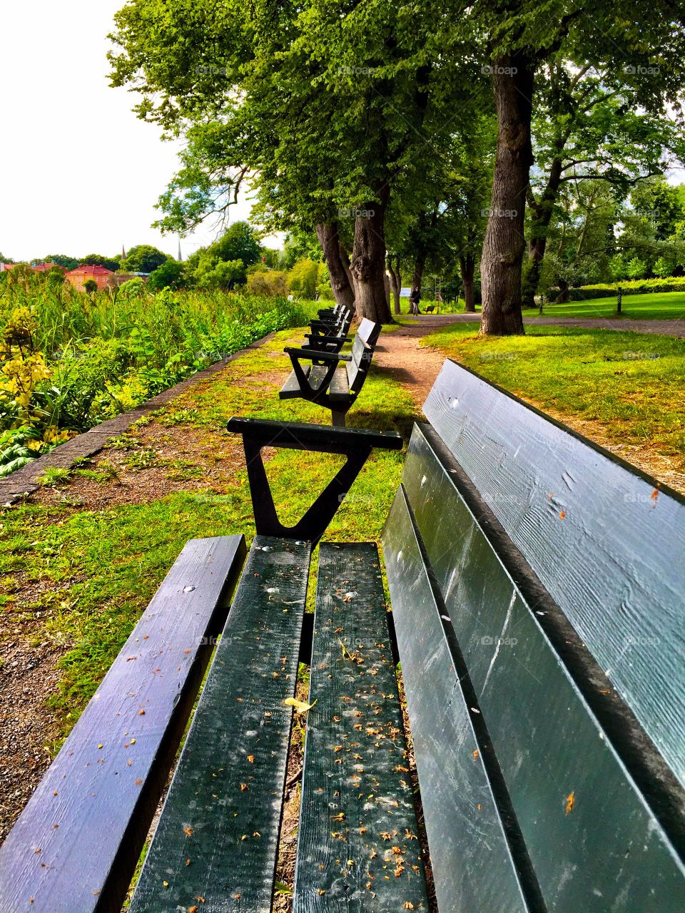 Park bench in road! 