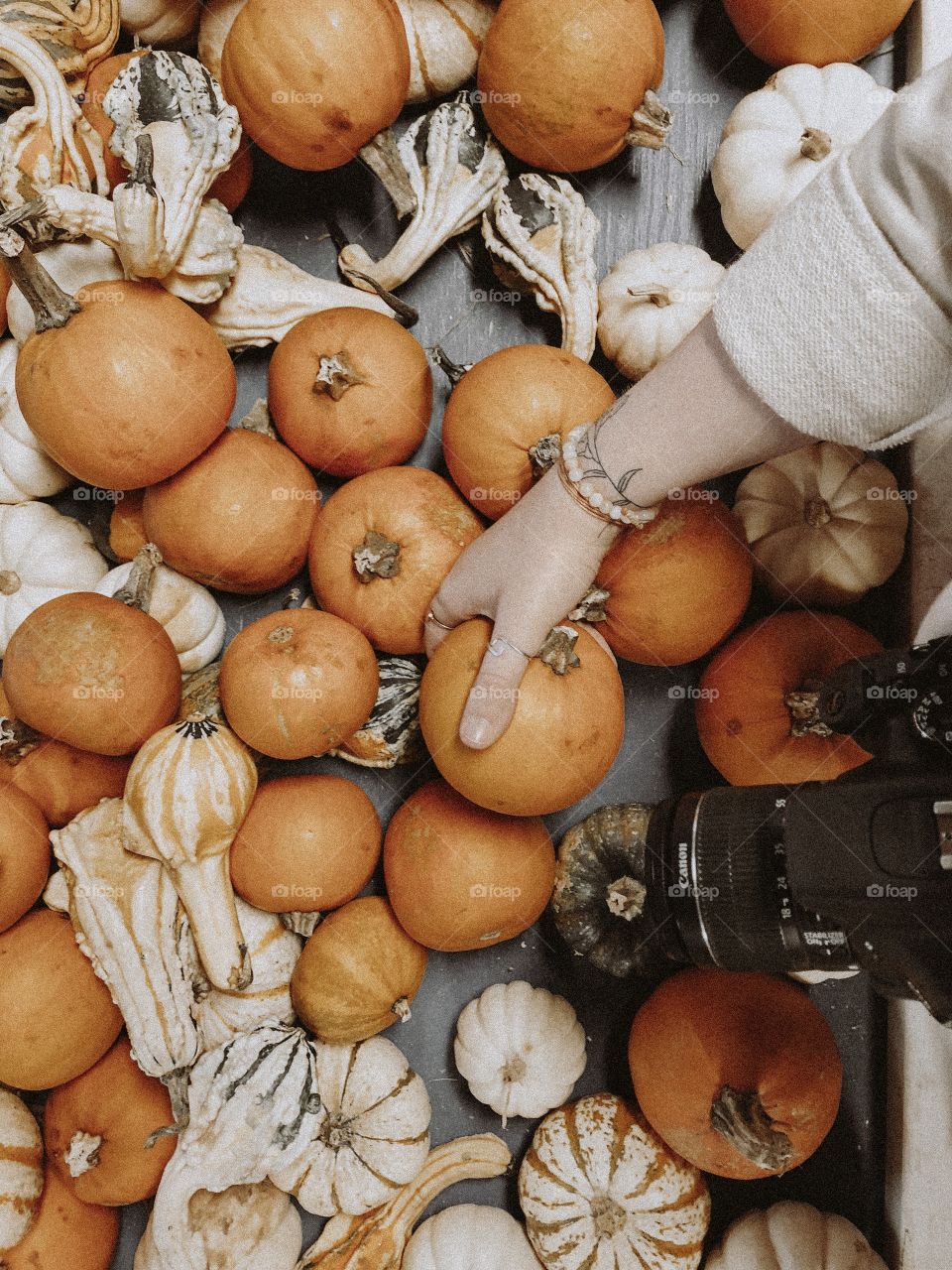 photographer looking through barrel of pumpkins 