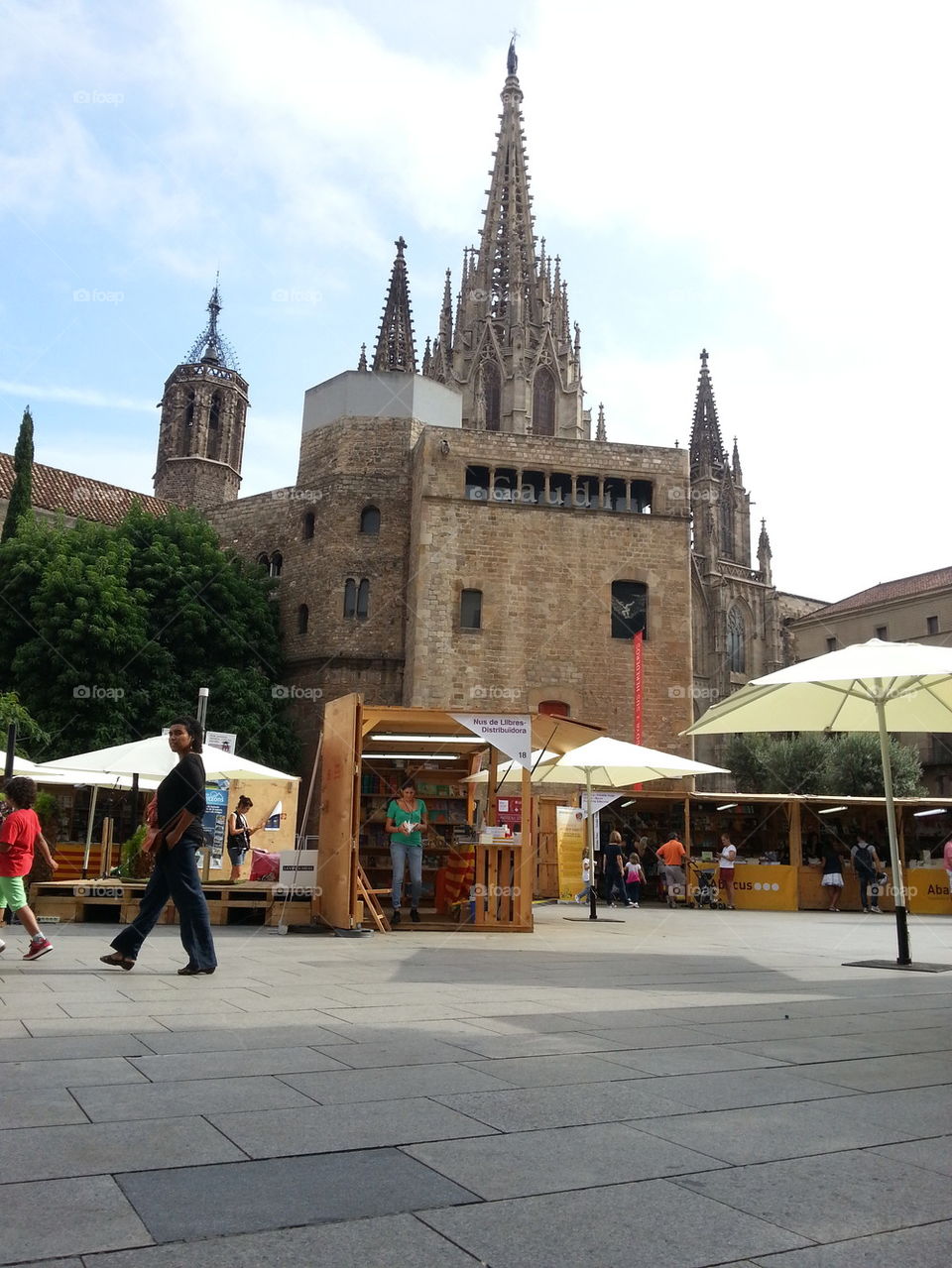 Cathedral of Barcelona