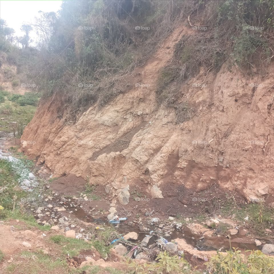 environmental degradation