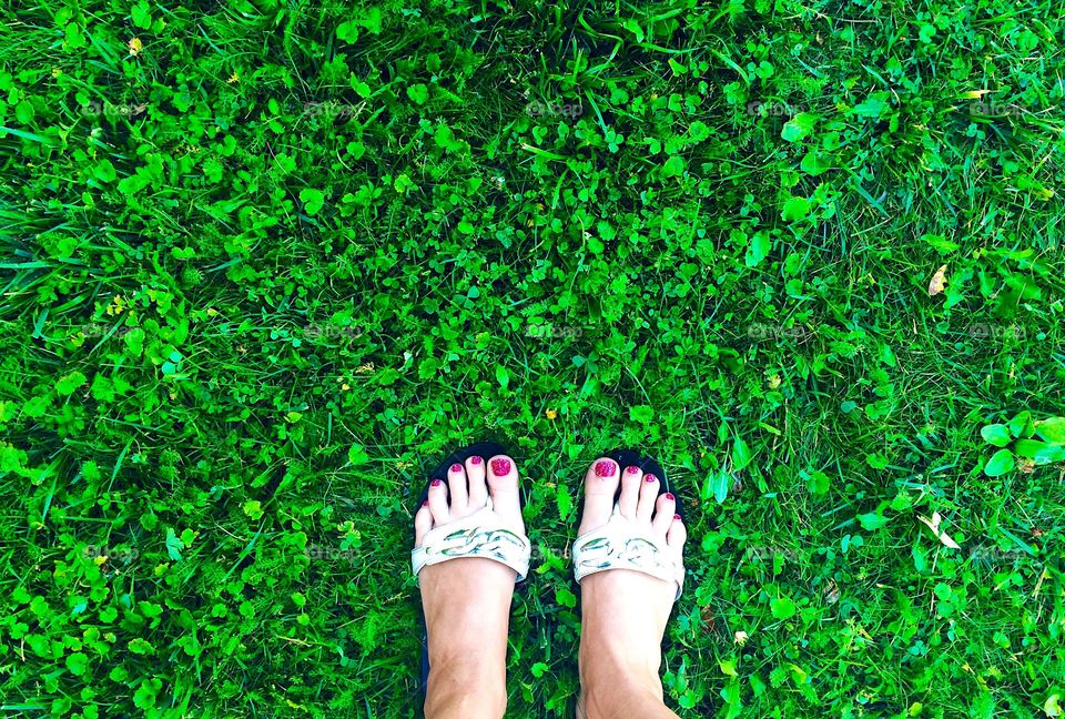 My legs on green green grass
