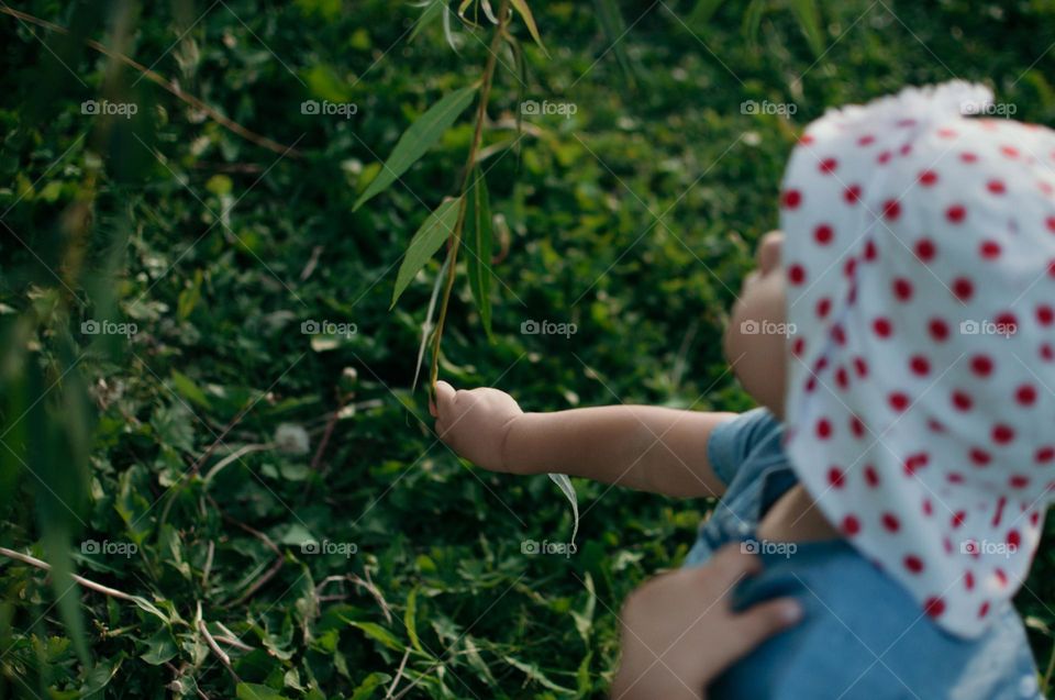 discovering the plants growing around