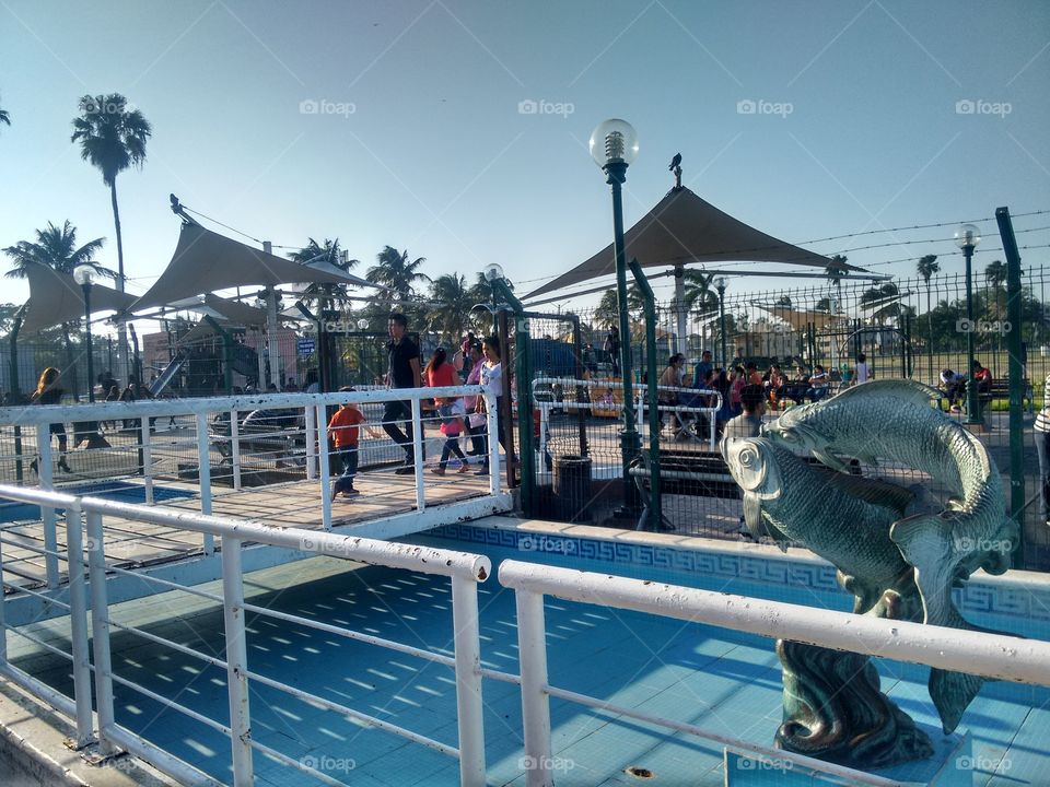 Park Tampico City