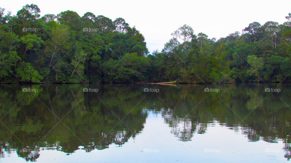 Canoe and green trees reflection on a lake