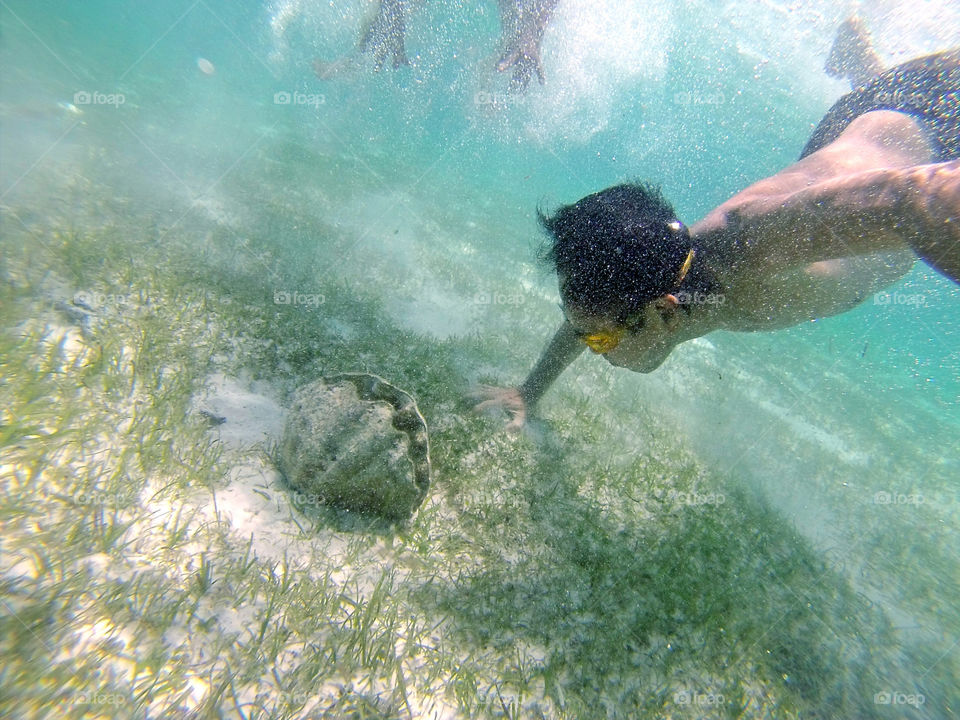 clam underwater