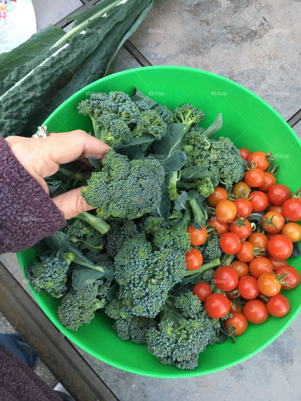 Harvest of broccoli and tomatoes
