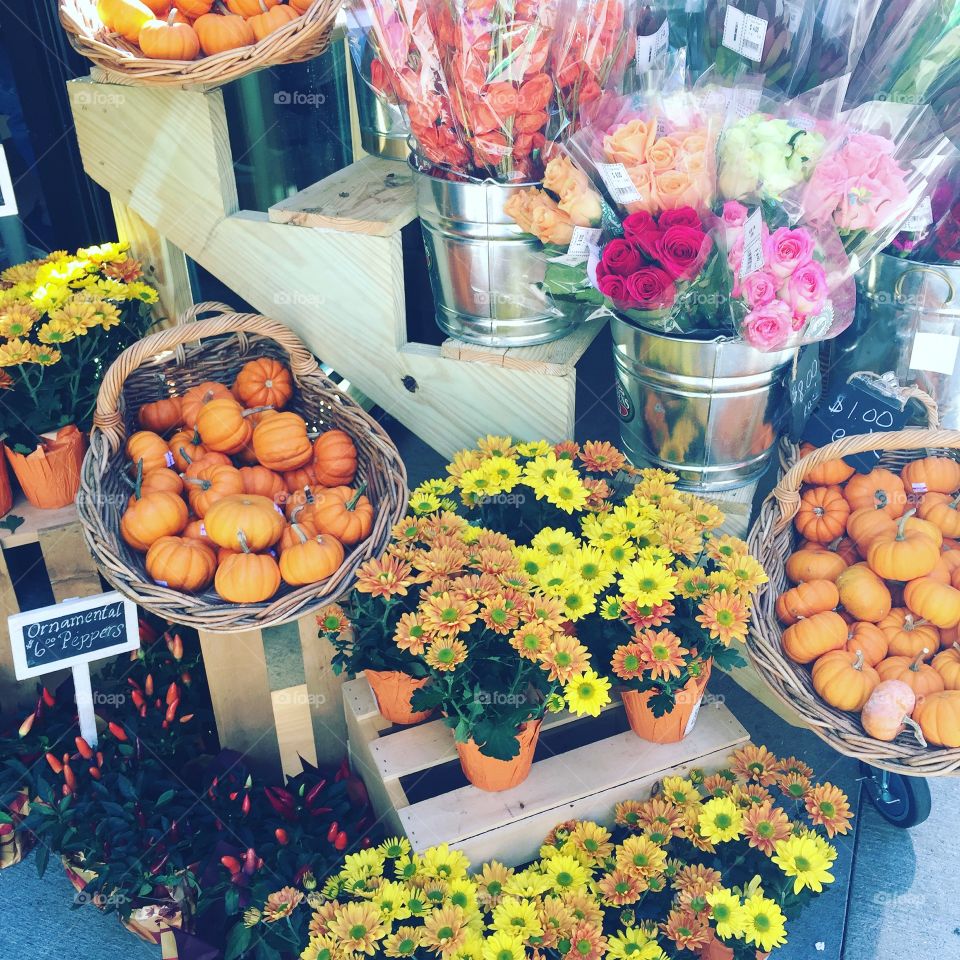Flower stand in Boston