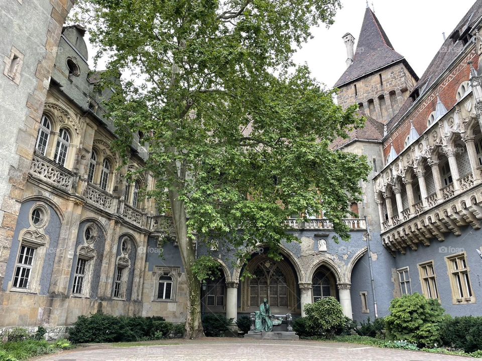 Enchanting Fortress: Captivating Castle in Poland