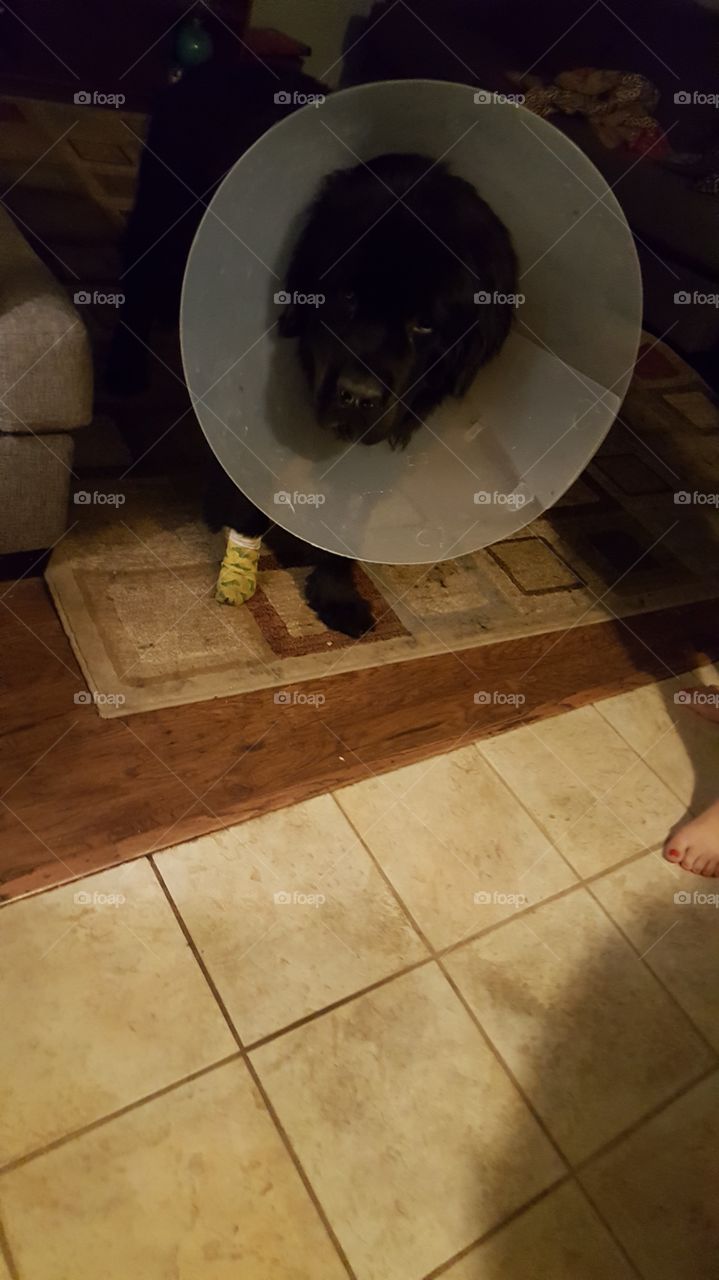 People, No Person, Indoors, Wood, One