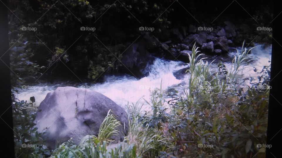 Rushing water. In Maui for vacation