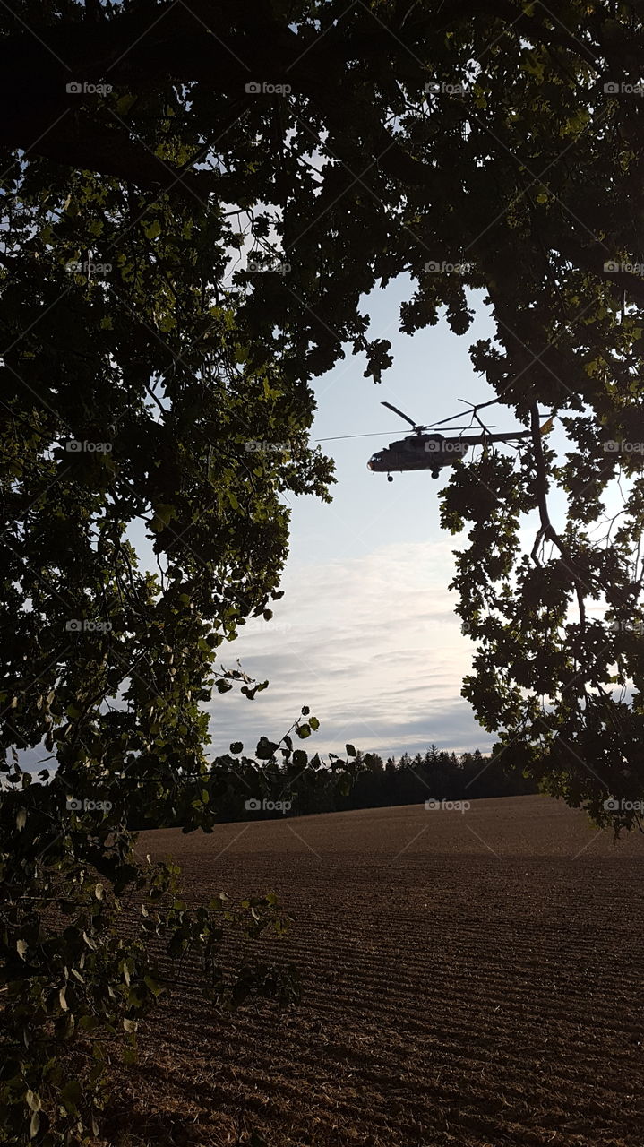 army helicopter and nature