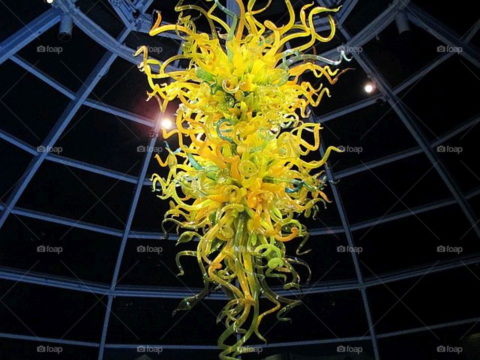 Glass artwork at Phipps Conservatory