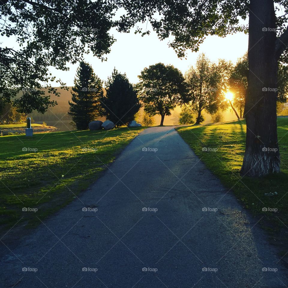 Early morning in the park