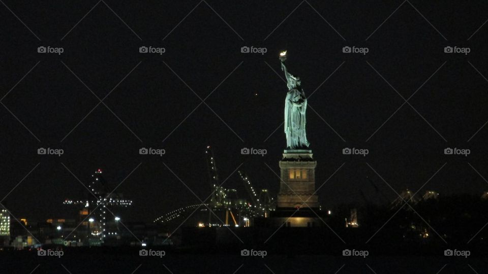 Statue of Liberty During the Night in New York City